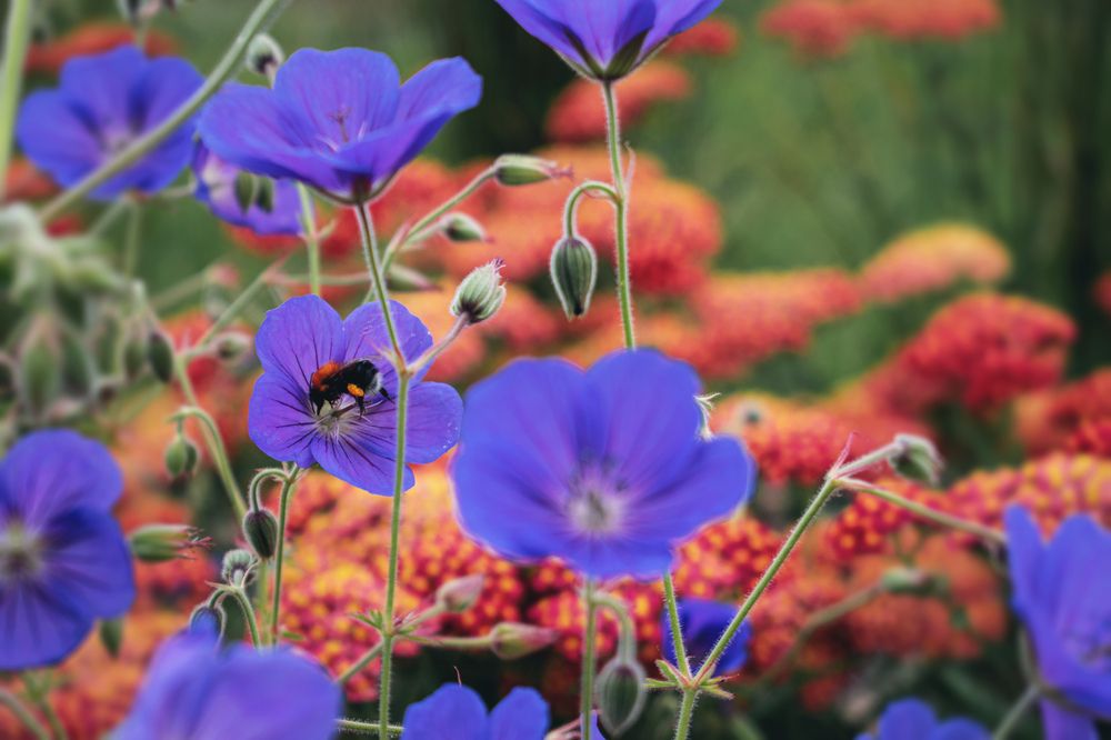 Фотография автора Алексей