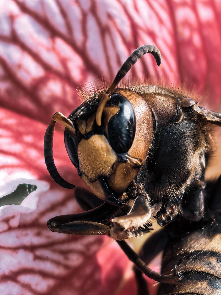 Фотография автора Юра Кладухин