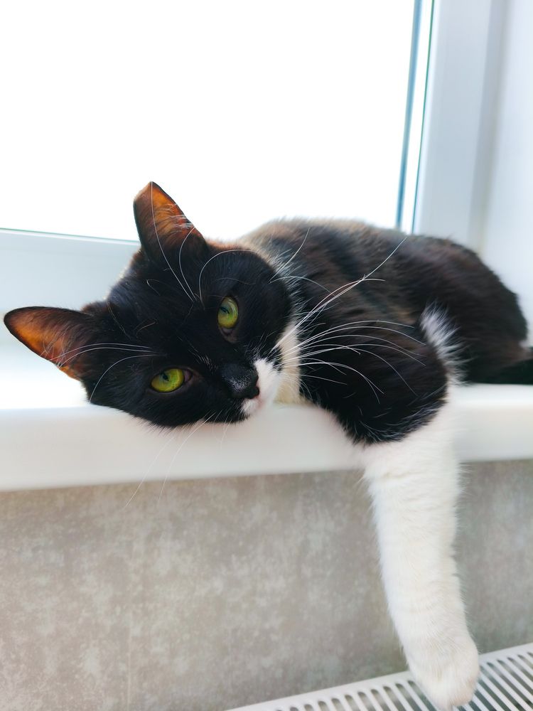 Photograph by Анастасия Ковалева