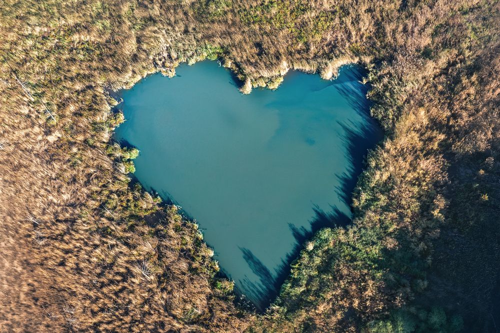 Photograph by Вероника Ливанова