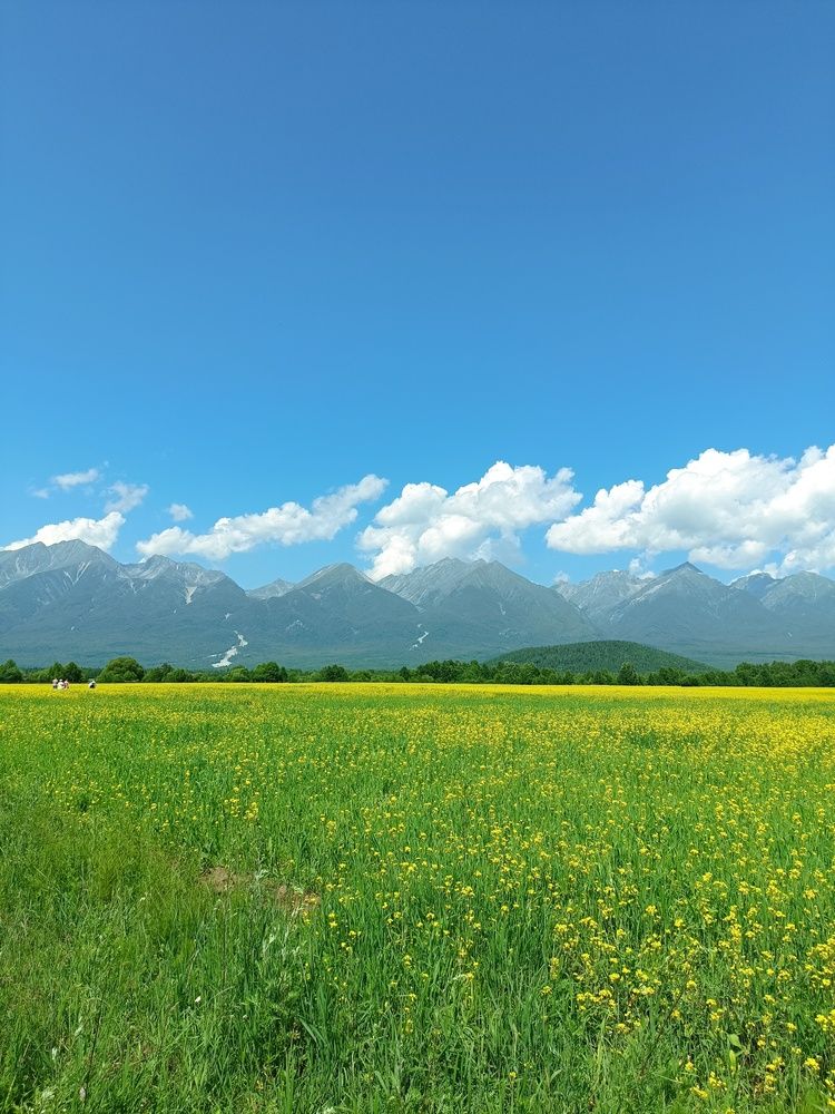 Photograph by Дмитрий Жарников