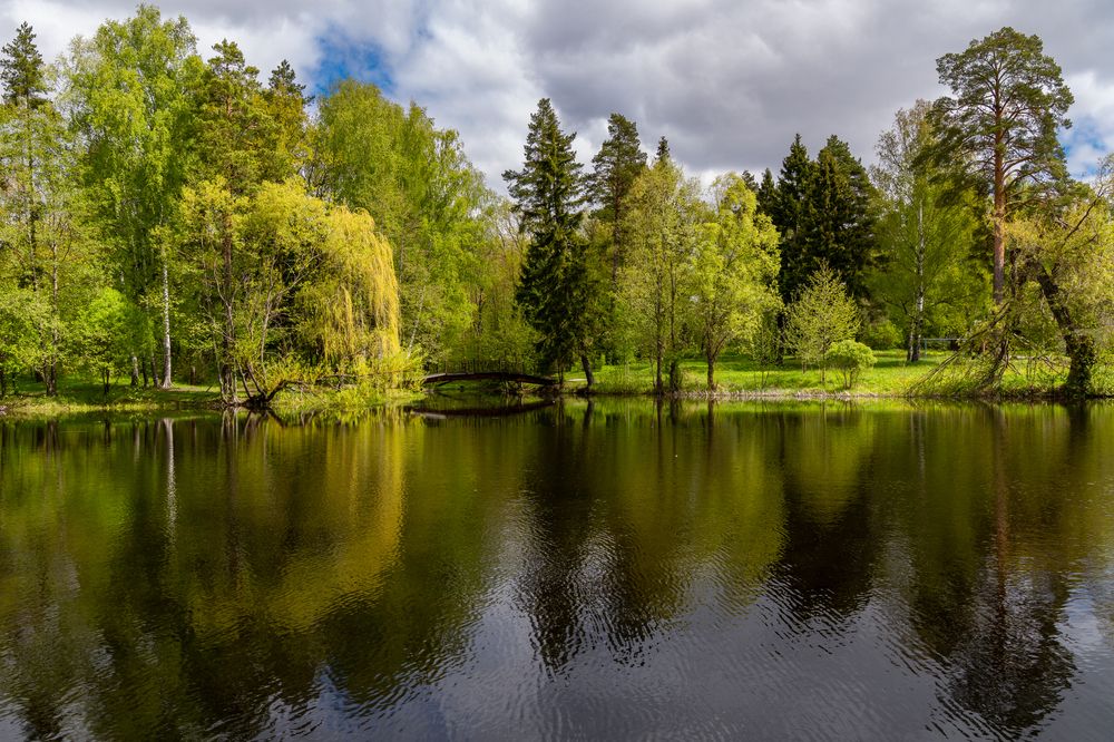 Зеленый Город