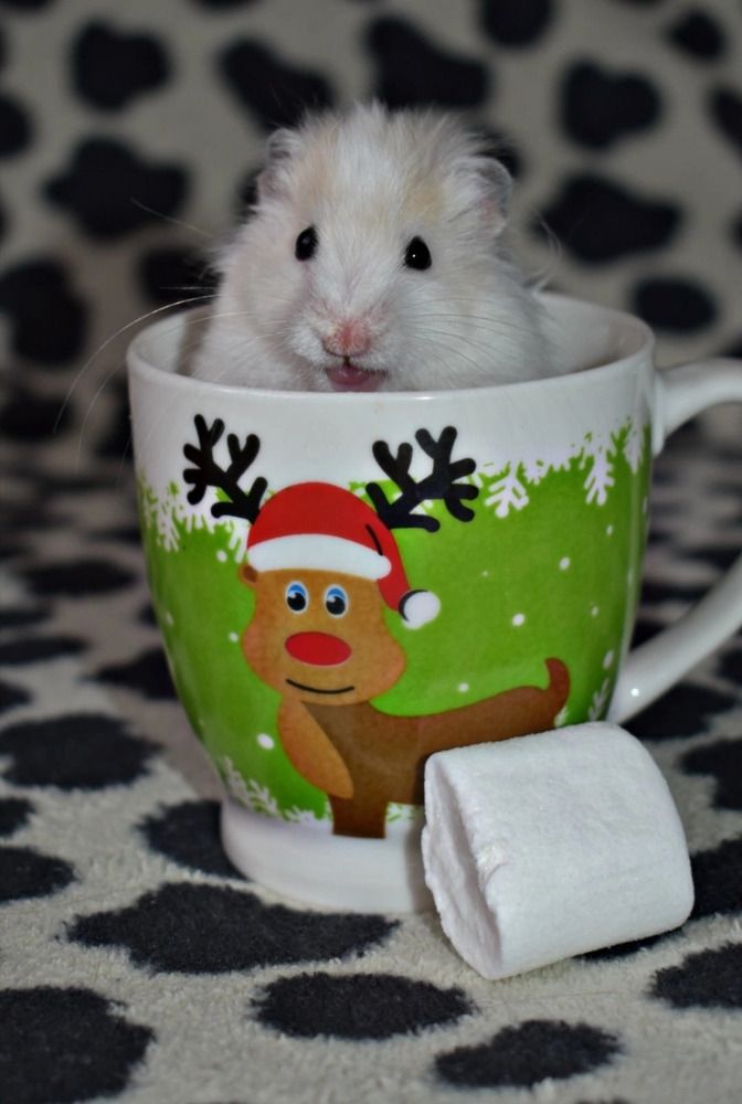 Photograph by Олеся Чистова