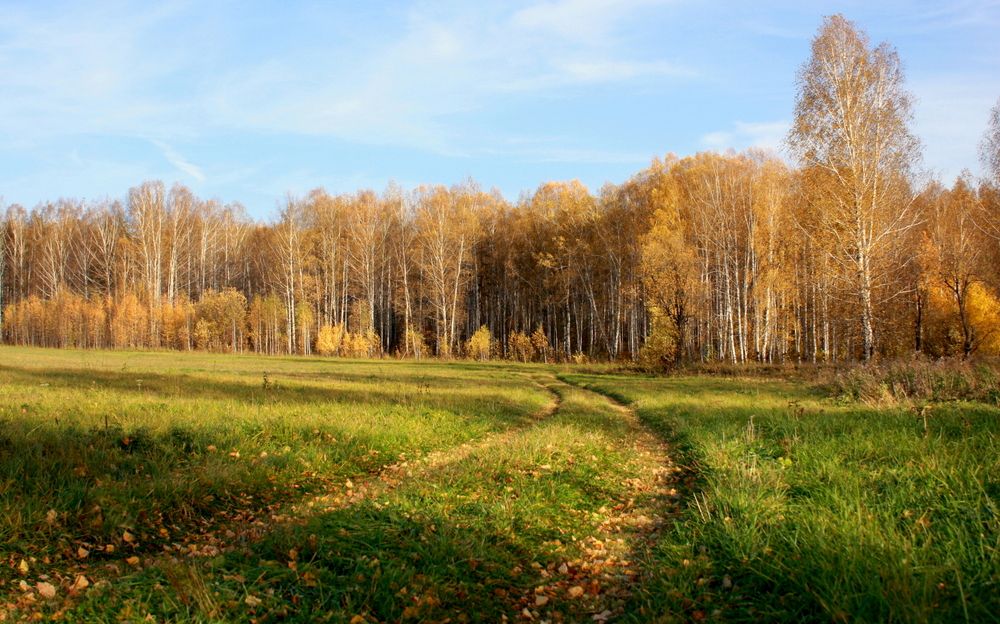 Фотография автора Nelya  Lysenko