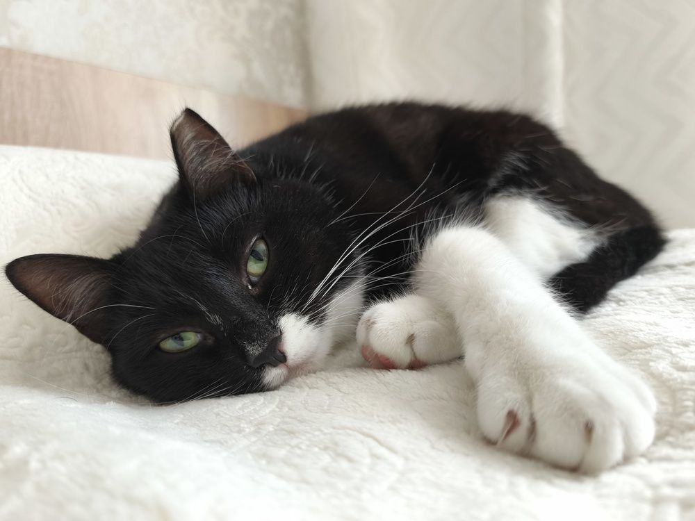 Photograph by Анастасия Ковалева