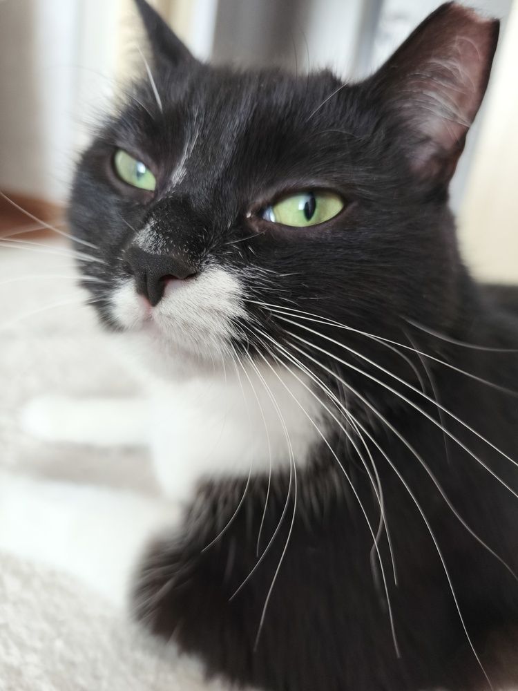 Photograph by Анастасия Ковалева