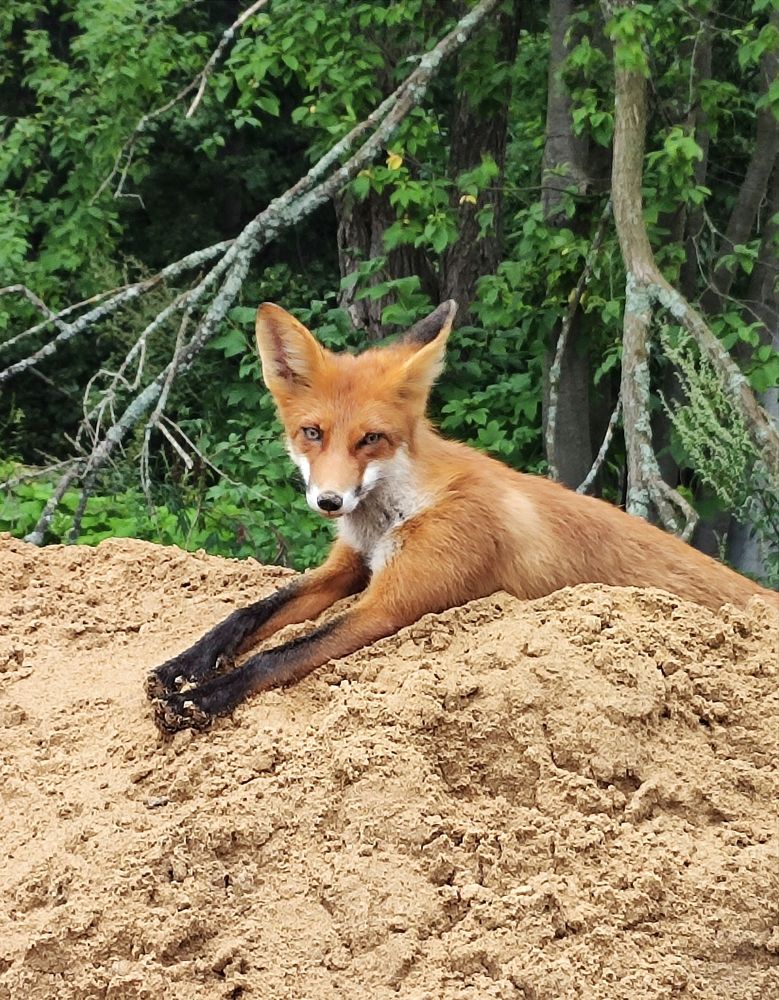 Photograph by Надежда