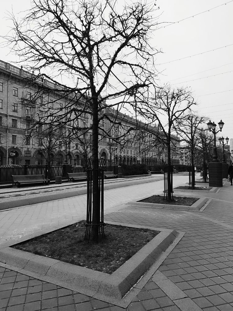 Photograph by Елена