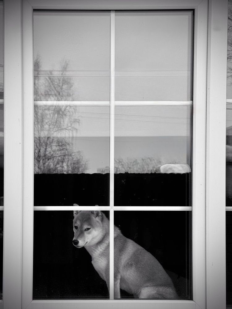 Photograph by Ксения Юртаева