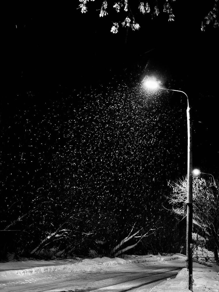 Photograph by Ксения Юртаева