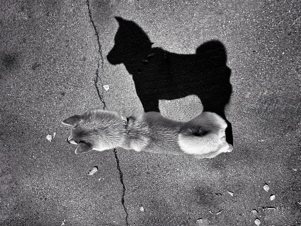 Photograph by Ксения Юртаева