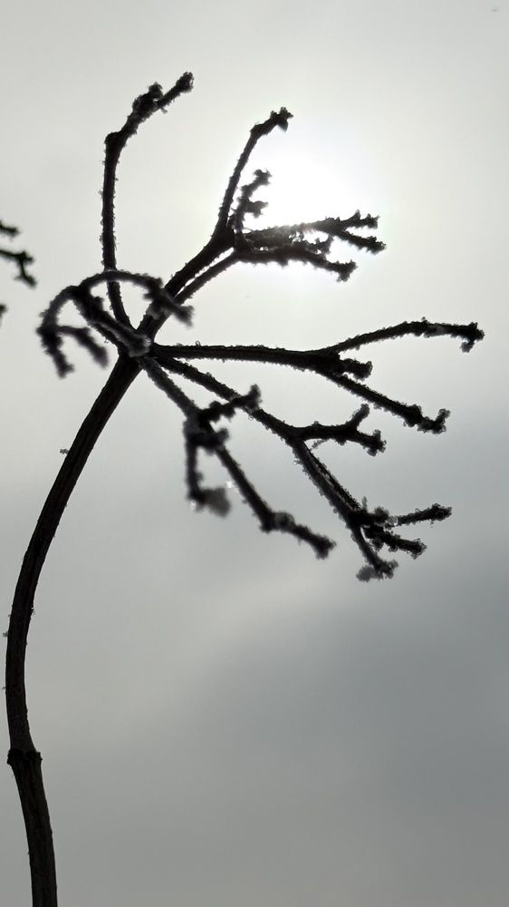 Photograph by Елена Гущина