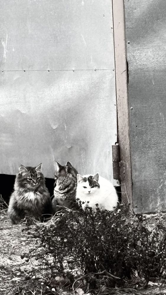 Photograph by Елена Гущина