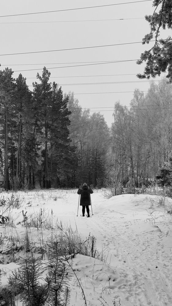 Photograph by Елена Гущина