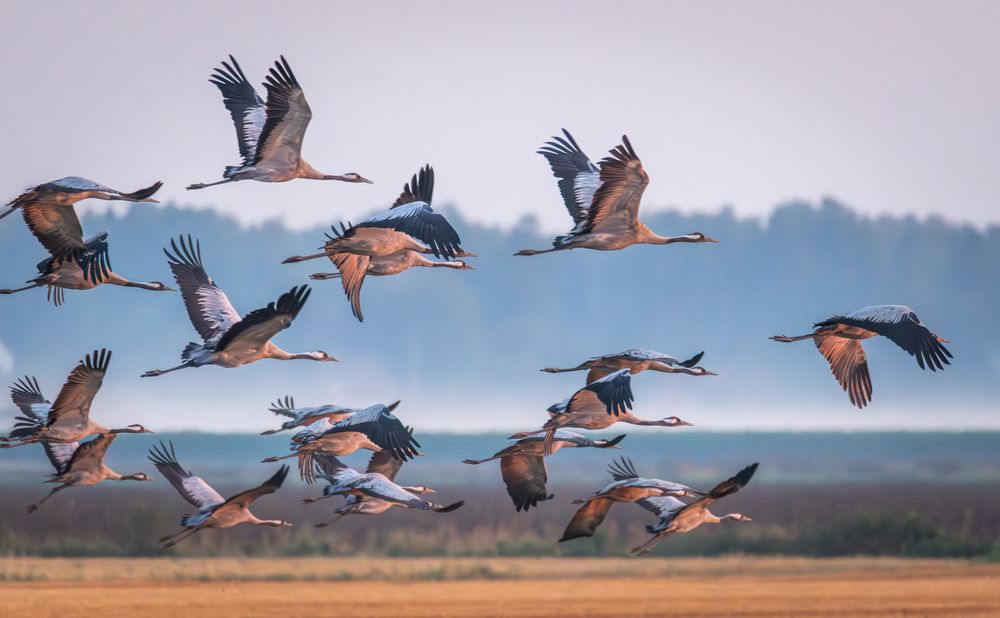 Фотография автора Katrin Lillenthal