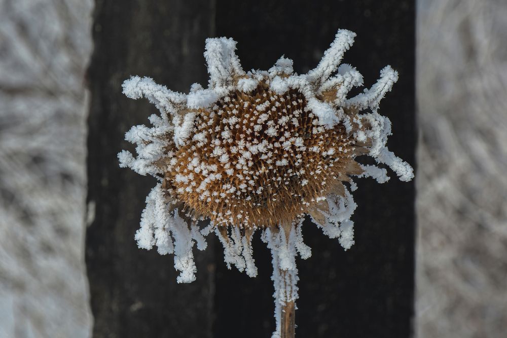 Фотография автора Ендовицкий Владимир