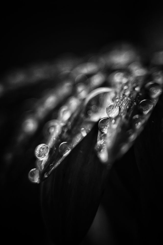 Photograph by Оксана Корепанова