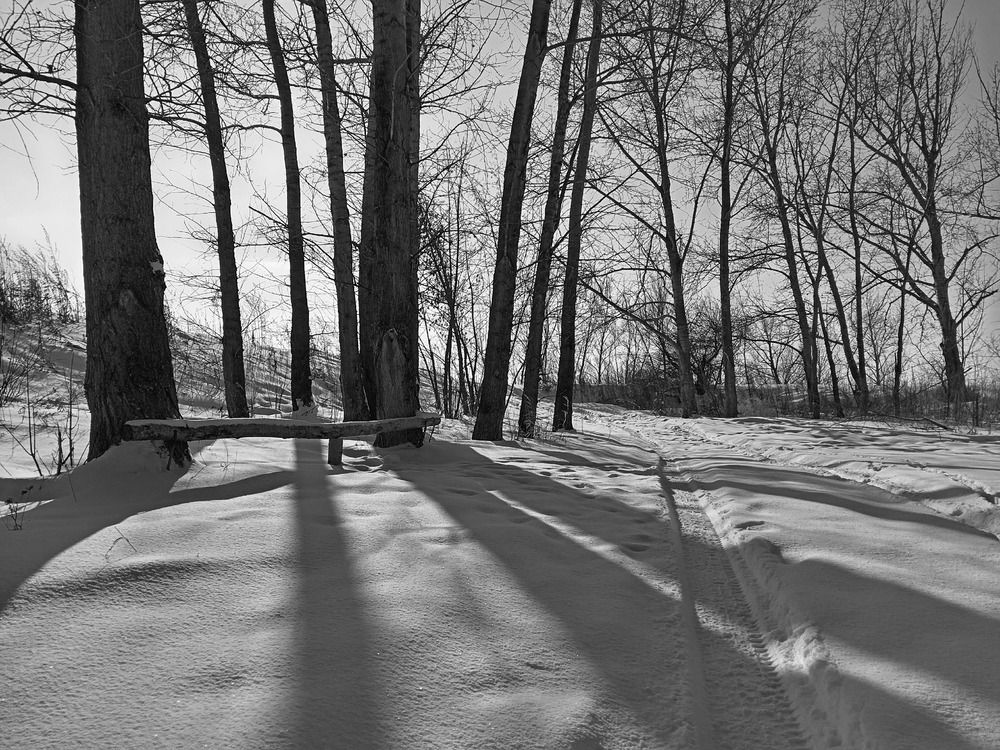 Photograph by Руслан Шиляев