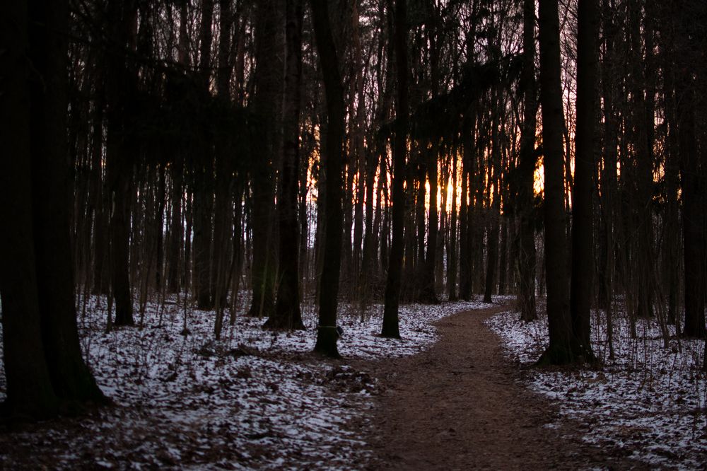 Фотография автора Екатерина Кузнецова