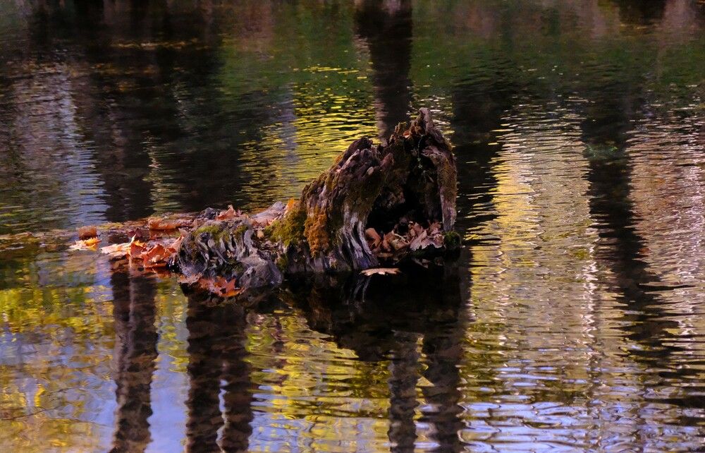 Photograph by Effie Zacharia