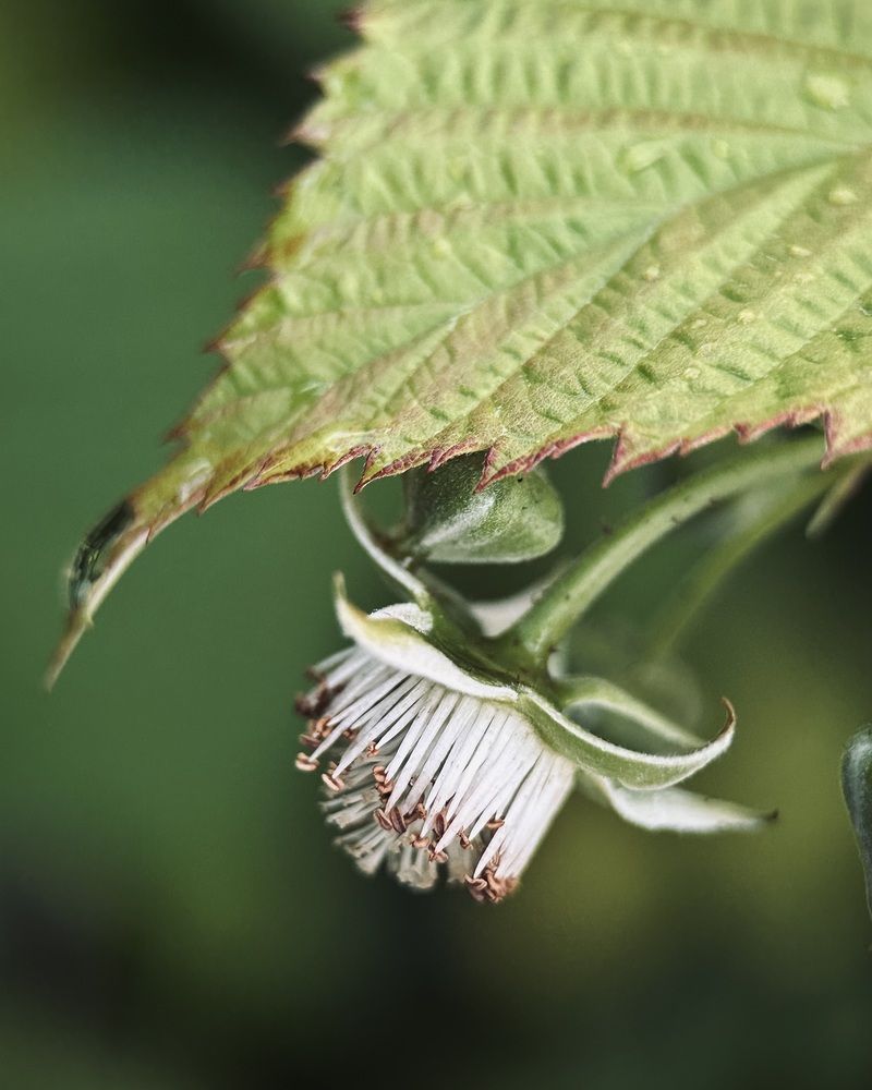 Photograph by Евстратова Оксана