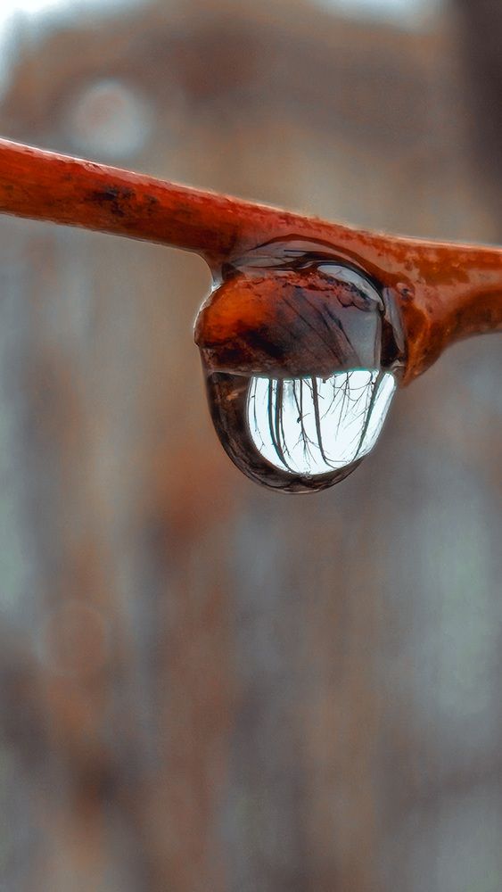Photograph by Наталья Тополевская