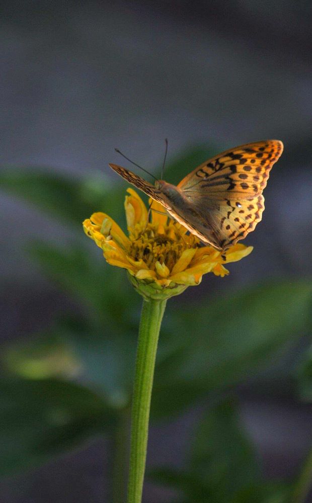 Photograph by Титова Наталья