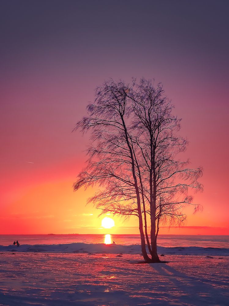 Photograph by Ира Петербург