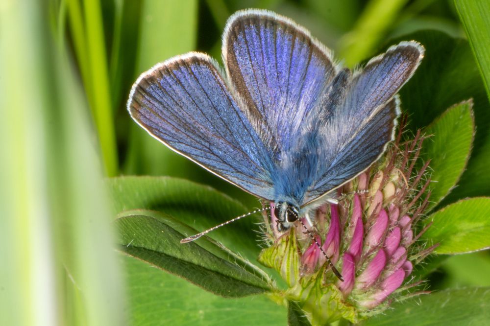 Фотография автора Ruslan Badykov