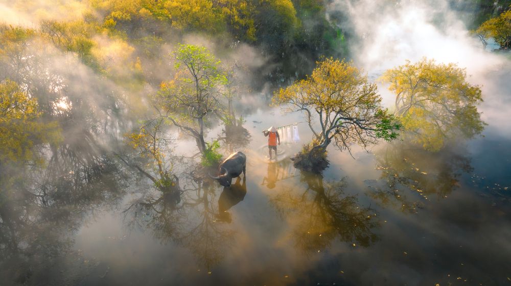 Photograph by Minh Tú Nguyễn