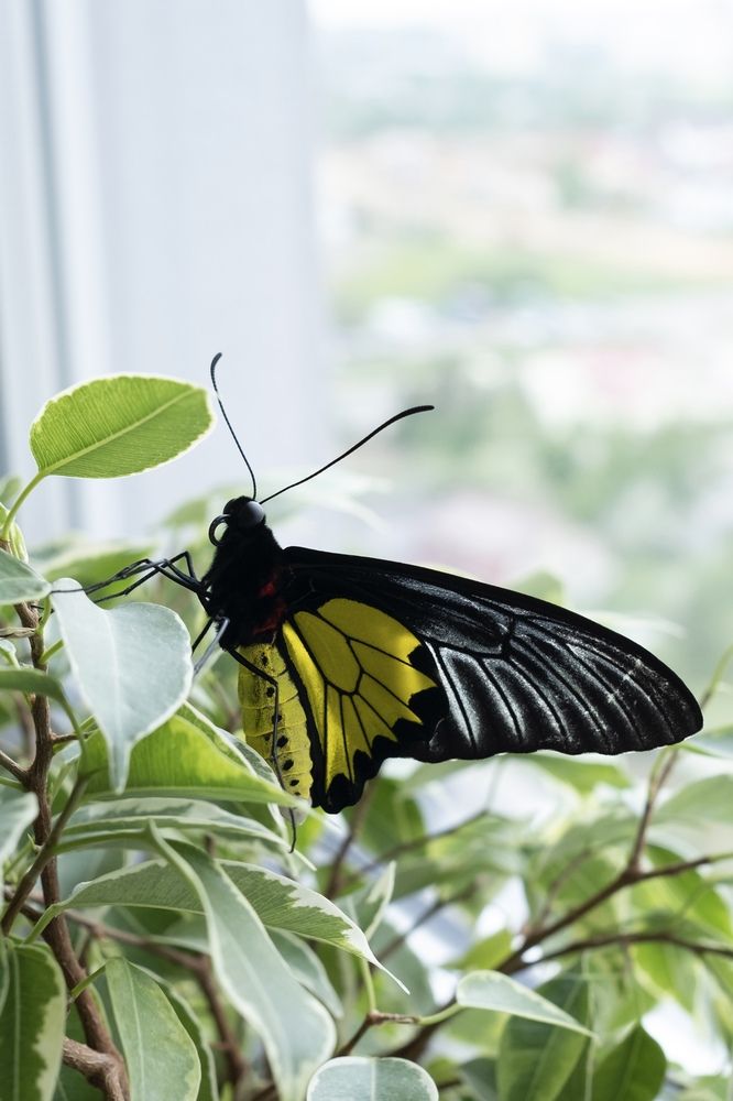 Photograph by Екатерина Бердутина