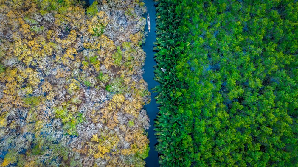 Photograph by Minh Tú Nguyễn