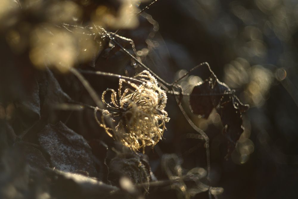 Photograph by Татьяна Кужаниязова