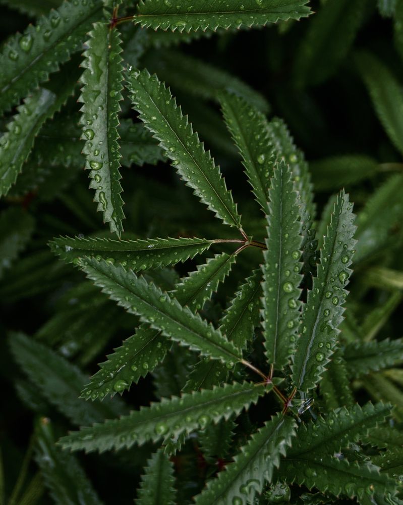 Photograph by Евстратова Оксана