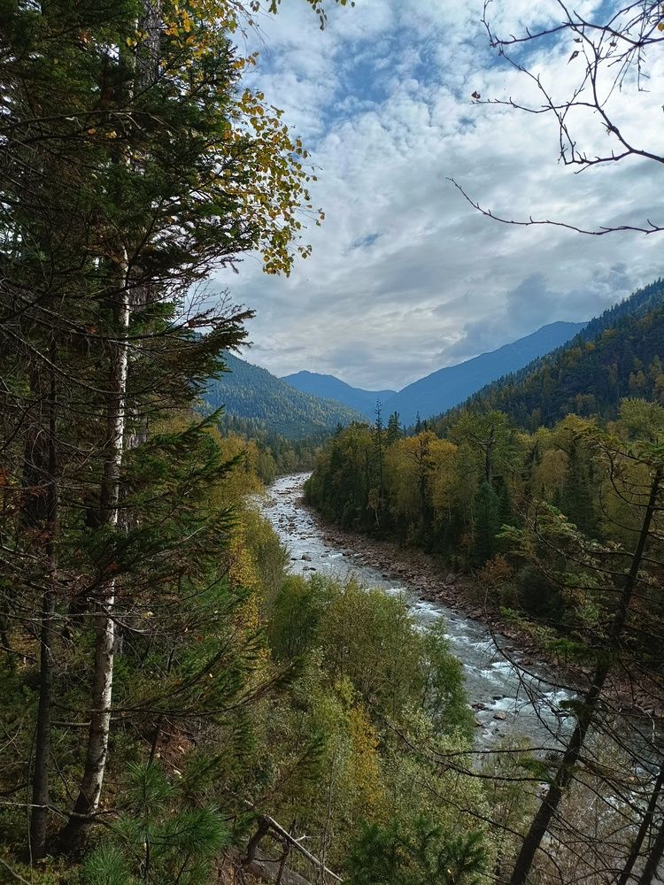Photograph by Дмитрий Жарников