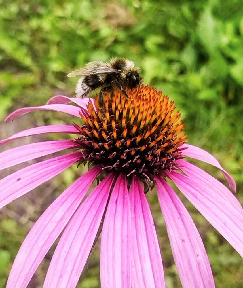 Photograph by Sergey Kurkov-Tarkovsky
