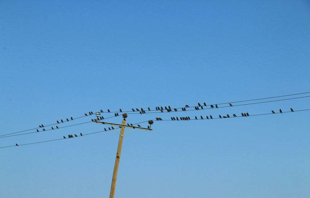 Photograph by Mohammd Rasul