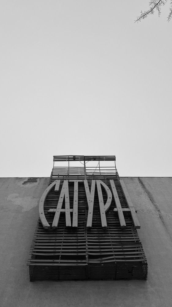 Photograph by Алина Волгина