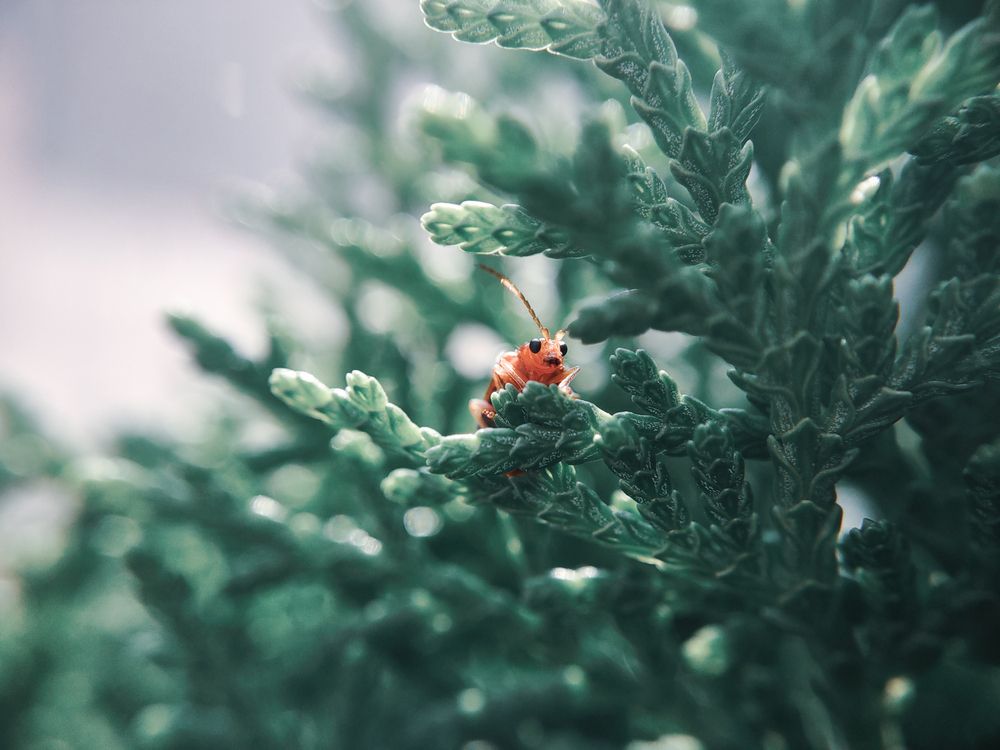 Photograph by Prateek Maurya