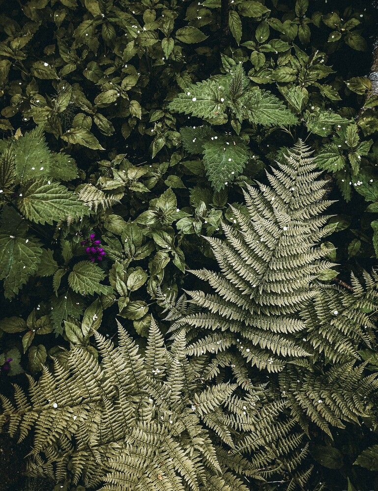 Photograph by Алина Демидова