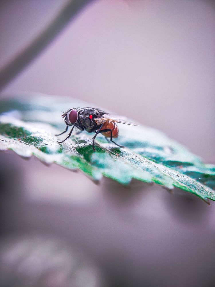 Photograph by Prateek Maurya