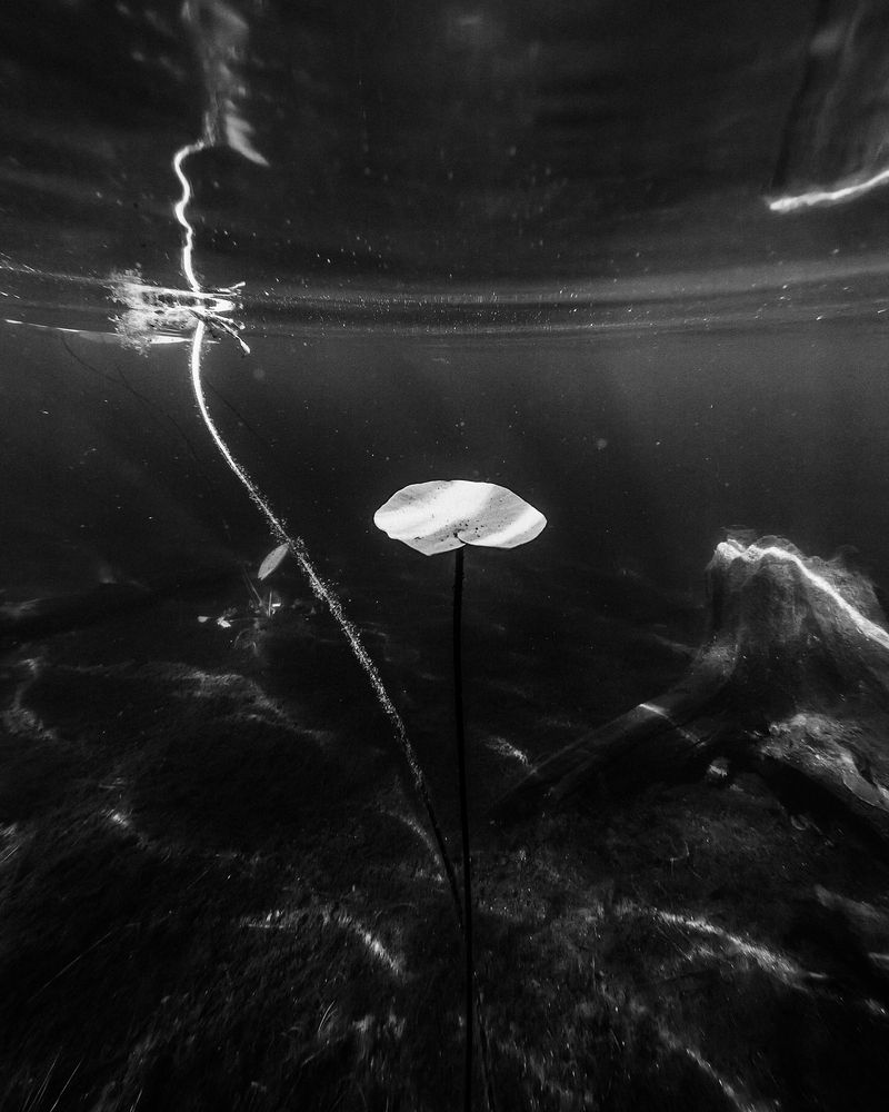 Photograph by Илья Цымбал