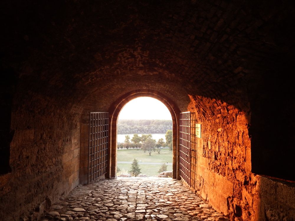 Photograph by Vasilii Martynov