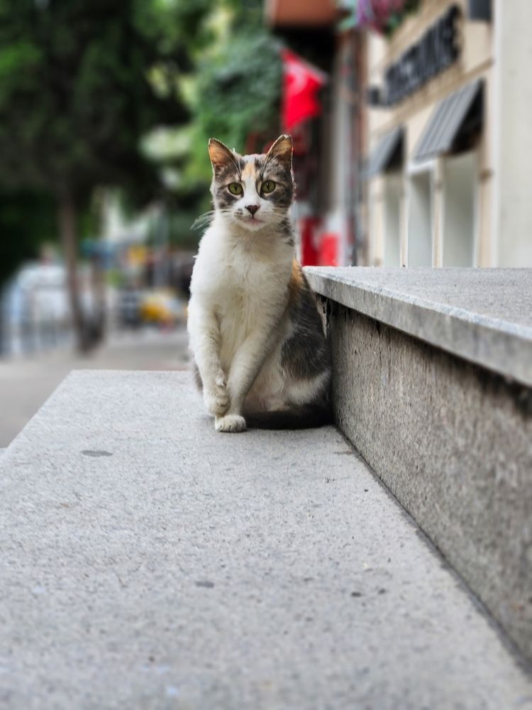 Photograph by Ирина Зацепина