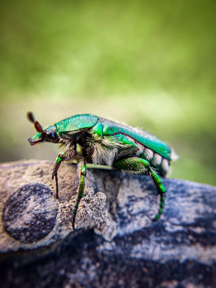 Photograph by Prateek Maurya