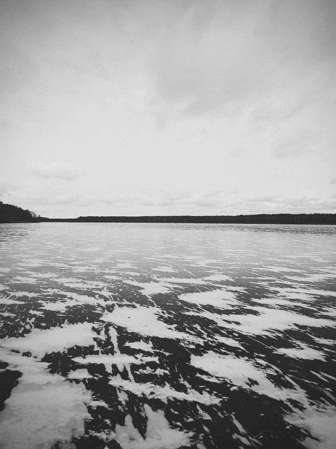 Photo #11885864