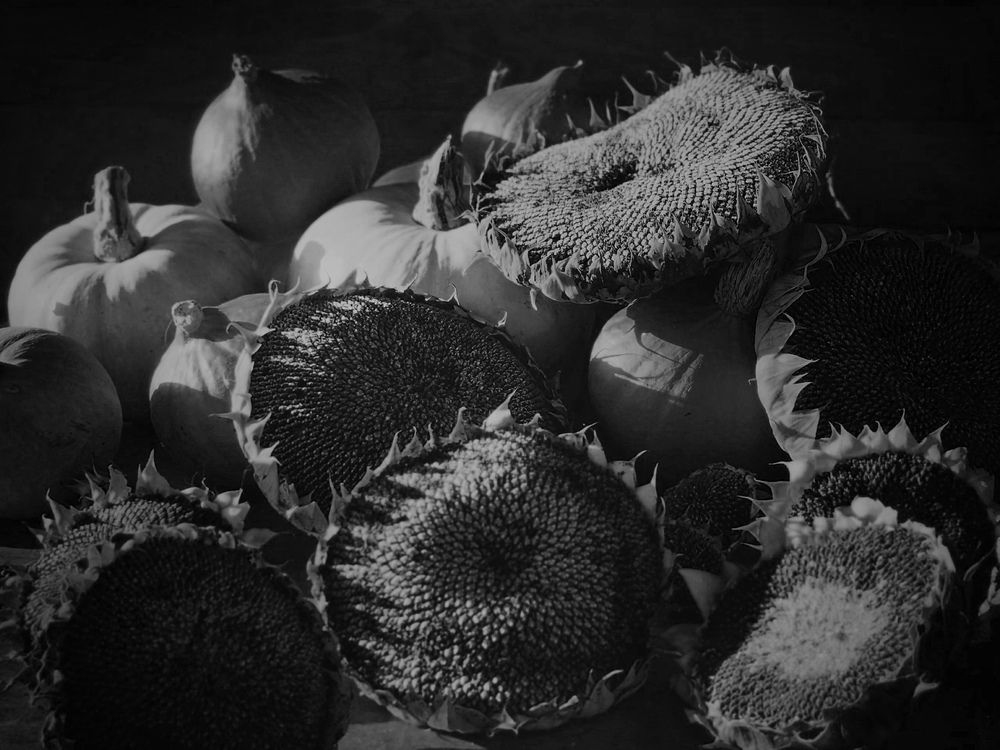 Фотография автора Ольга