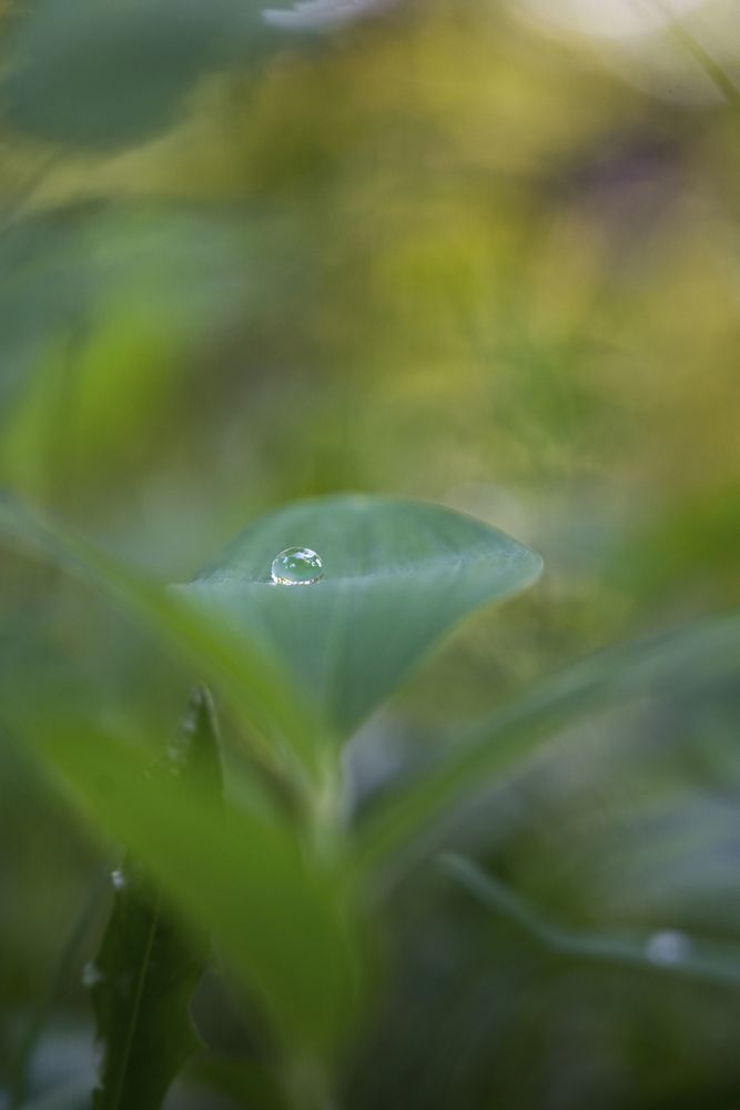 Photograph by FILIP BETKO