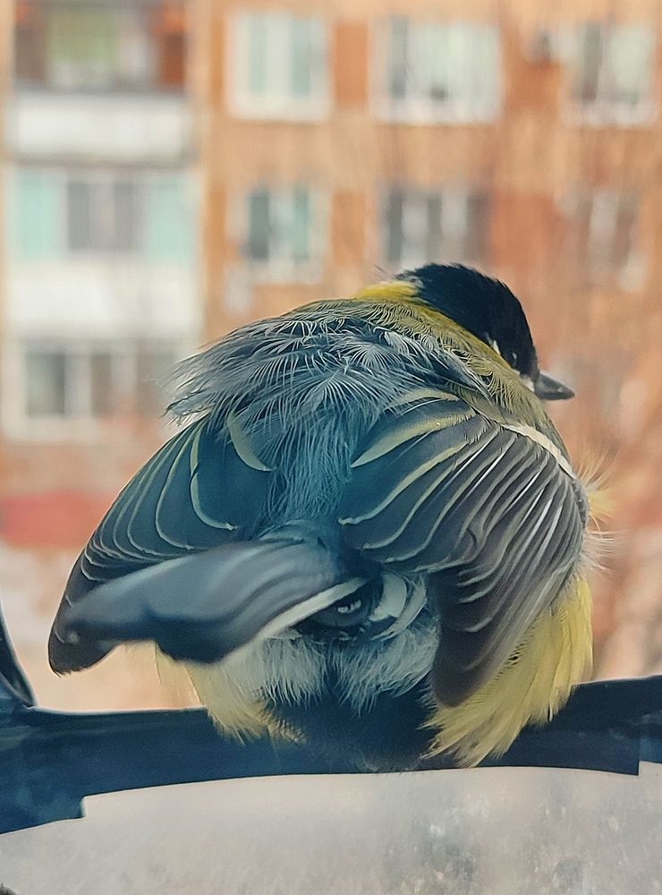 Photograph by Александр