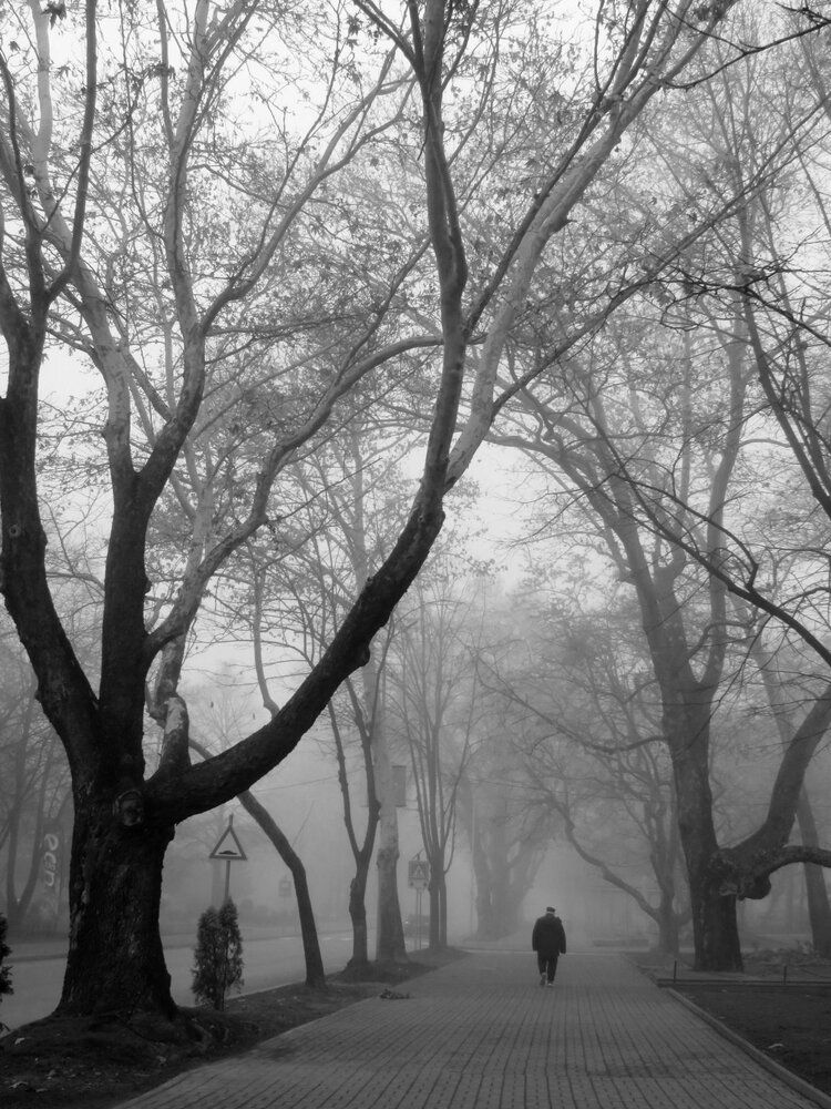 Photograph by Mila Nikolova